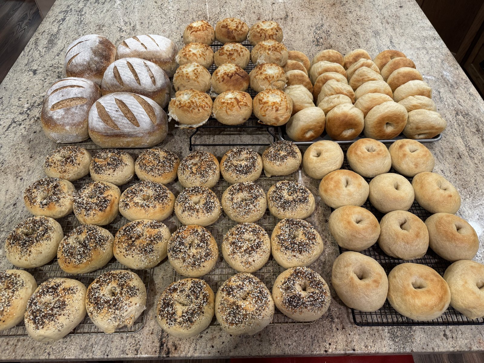 Fresh-baked everything bagels